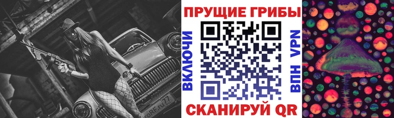 Псилоцибиновые грибы Magic Shrooms  Нахабино 