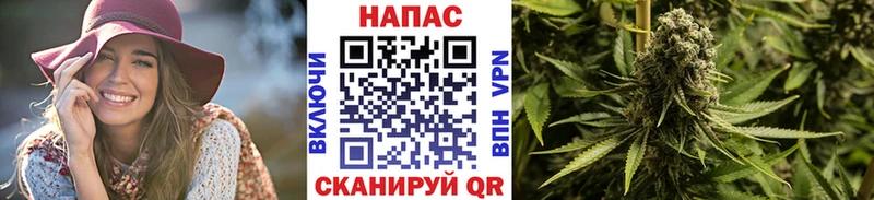 Шишки марихуана семена Нахабино